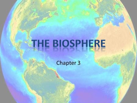 Chapter 3. What Is Ecology? Ecology – the study of interactions among organisms and between organisms and their environment – From Greek: oikos (house)