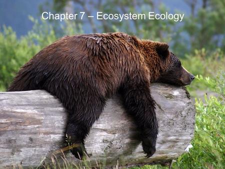 Chapter 7 – Ecosystem Ecology. © 2013 Pearson Education, Inc. 7.1 Ecosystem Ecology and Biogeochemistry Biosphere –All organisms and nonliving environment.