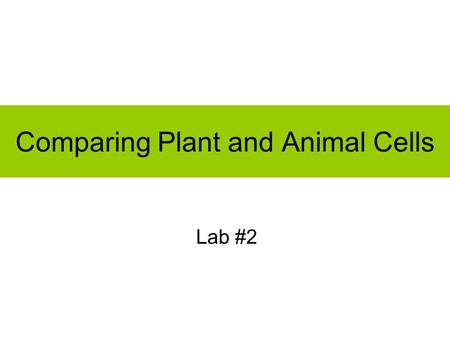 Comparing Plant and Animal Cells