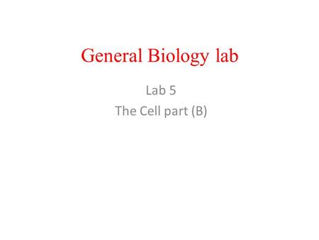 General Biology lab Lab 5 The Cell part (B). Animal Cell Animals Are multicellular eukaryotes; they are heterotrophic that dependent for other organism.