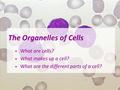 The Organelles of Cells