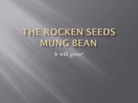 It will grow!.  How many cm will the mung bean grow in a week?