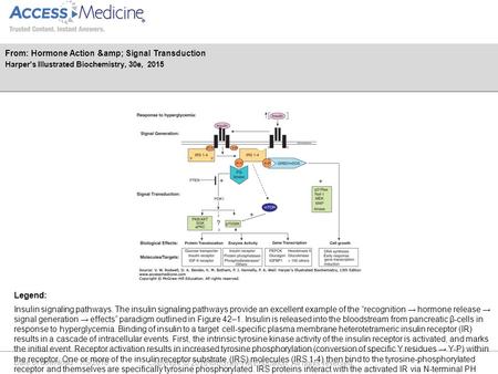 Date of download: 7/5/2016 Copyright © 2016 McGraw-Hill Education. All rights reserved. Insulin signaling pathways. The insulin signaling pathways provide.