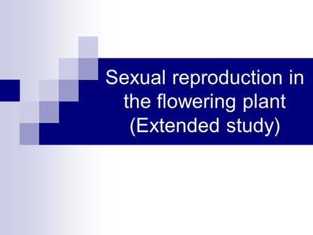 Sexual reproduction in the flowering plant (Extended study)