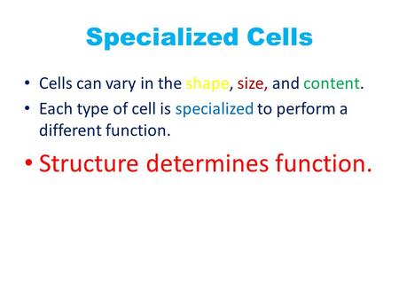 Specialized Cells Cells can vary in the shape, size, and content. Each type of cell is specialized to perform a different function. Structure determines.