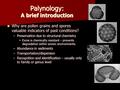 Palynology: A brief introduction Why are pollen grains and spores valuable indicators of past conditions? Why are pollen grains and spores valuable indicators.