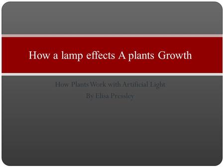 How Plants Work with Artificial Light By Elisa Pressley How a lamp effects A plants Growth.