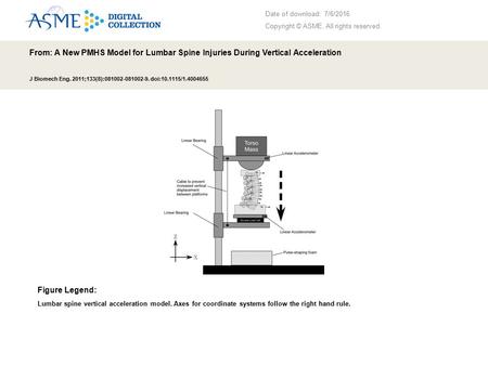 Date of download: 7/6/2016 Copyright © ASME. All rights reserved. From: A New PMHS Model for Lumbar Spine Injuries During Vertical Acceleration J Biomech.