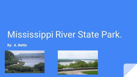 Mississippi River State Park. By: A. Bettis. Location.. Mississippi River State Park can be founded on 2955 Highway 44, Marianna, AR 72360.