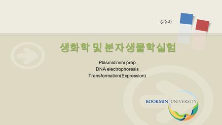 Plasmid mini prep DNA electrophoresis Transformation(Expression)