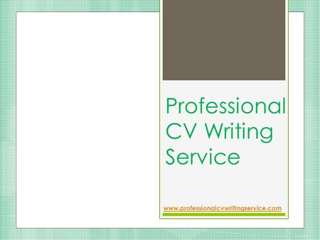 Professional CV Writing Service www.professionalcvwritingservice.com.