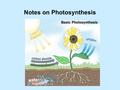 Notes on Photosynthesis