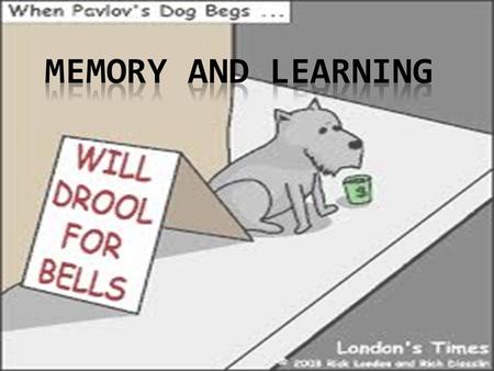 PSYCHOLOGY AS A SCIENCE Psychology changed dramatically during the early 20th-century as another school of thought known as behaviorism rose to dominance.