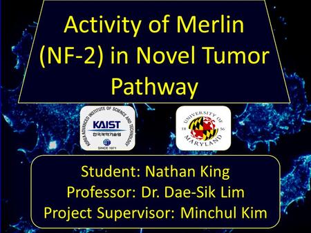 Student: Nathan King Professor: Dr. Dae-Sik Lim Project Supervisor: Minchul Kim Activity of Merlin (NF-2) in Novel Tumor Pathway.