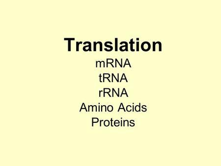 Translation mRNA tRNA rRNA Amino Acids Proteins. Protein Synthesis & Translation.