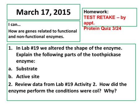 March 17, 2015 I can… How are genes related to functional and non-functional enzymes. Homework: TEST RETAKE – by appt. Protein Quiz 3/24 1.In Lab #19 we.