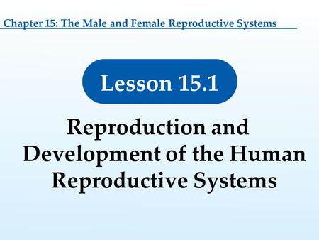 Lesson 15.1 Reproduction and Development of the Human Reproductive Systems Chapter 15: The Male and Female Reproductive Systems.