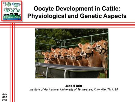 BrittSBZ2008 Oocyte Development in Cattle: Physiological and Genetic Aspects Jack H Britt Institute of Agriculture, University of Tennessee, Knoxville,