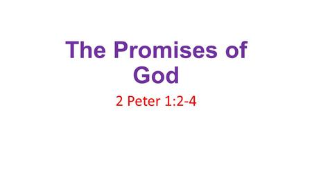 The Promises of God 2 Peter 1:2-4. 2 Pet. 1:2-4 2 Grace and peace be multiplied unto you through the knowledge of God, and of Jesus our Lord, 3 According.