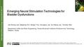 Interna tional Neurourology Journal 2015;19:3-11 Emerging Neural Stimulation Technologies for Bladder Dysfunctions Jee Woong Lee, Daejeong Kim, Sangjin.