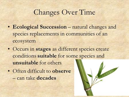 Changes Over Time Ecological Succession – natural changes and species replacements in communities of an ecosystem Occurs in stages as different species.