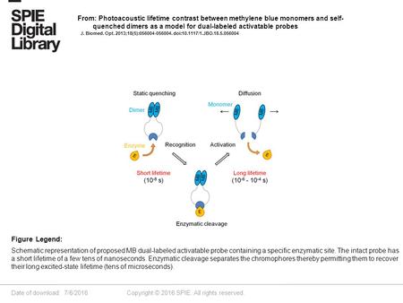 Date of download: 7/6/2016 Copyright © 2016 SPIE. All rights reserved. Schematic representation of proposed MB dual-labeled activatable probe containing.