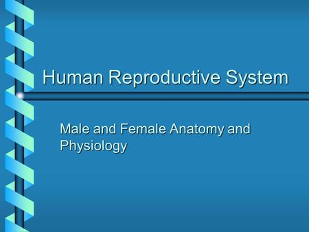 Human Reproductive System Male and Female Anatomy and Physiology.