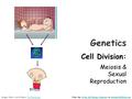 Genetics Cell Division: Meiosis & Sexual Reproduction