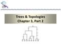 Trees & Topologies Chapter 3, Part 2. A simple lineage Consider a given gene of sample size n. How long does it take before this gene coalesces with another.