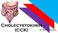 By: Maya Hariharan Cholecystokinin (CCK). What the intestine is THAT big word? Found in: Gastrointestinal Tract Secreted from: mucosal epithelial cells.