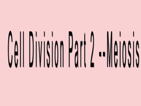 Journal Questions: At one level, the answers lie in meiosis. 1.How are genes passed on to offspring? 2.Where are the cells made that carry these genes?