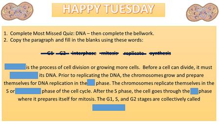 1. Complete Most Missed Quiz: DNA – then complete the bellwork. 2. Copy the paragraph and fill in the blanks using these words: G1 G2 interphase mitosis.