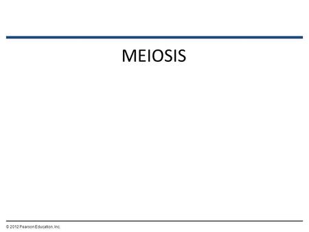 MEIOSIS © 2012 Pearson Education, Inc..  In humans, somatic cells have 23 pairs of homologous chromosomes and one member of each pair from each parent.