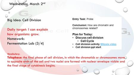 Wednesday, March 2 nd Big Idea: Cell Division Daily target: I can explain how organisms grow. Homework: Fermentation Lab (3/4) Entry Task: Probe Conclusion: