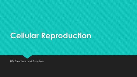 Cellular Reproduction Life Structure and Function.