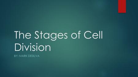 The Stages of Cell Division BY: MARK DESILVA. Prophase/ Pro Metaphase Anaphase Telophase The Stages of Mitosis.