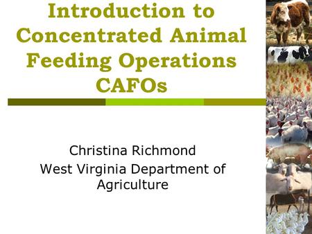 Introduction to Concentrated Animal Feeding Operations CAFOs Christina Richmond West Virginia Department of Agriculture.