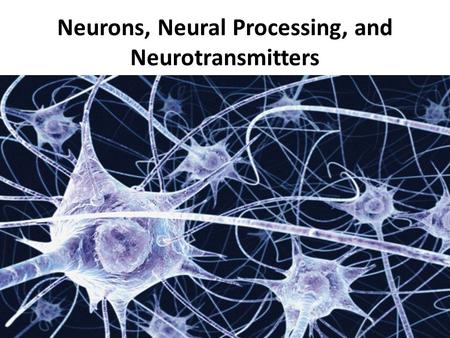 Neurons, Neural Processing, and Neurotransmitters.