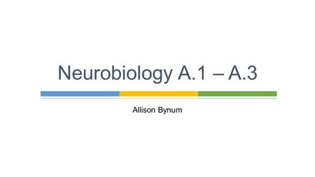 Neurobiology A.1 – A.3 Allison Bynum.