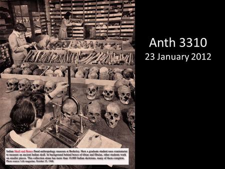 Anth 3310 23 January 2012.