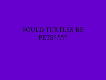 SOULD TURTLES BE PETS????? By DAMIAN VITERNA The history of turtles Turtle are not allowed as pets in some country you can not have a turtle as pet.