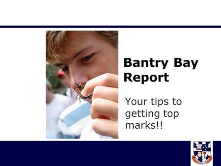 Bantry Bay Report Your tips to getting top marks!!