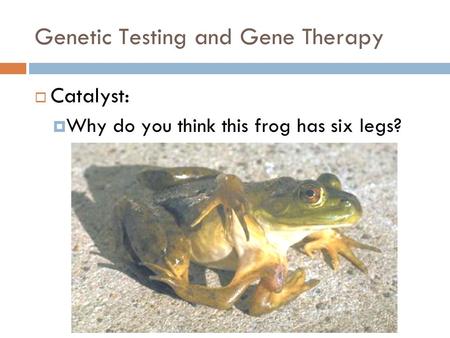 Genetic Testing and Gene Therapy  Catalyst:  Why do you think this frog has six legs?