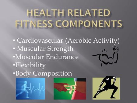 Cardiovascular (Aerobic Activity) Muscular Strength Muscular Endurance Flexibility Body Composition.