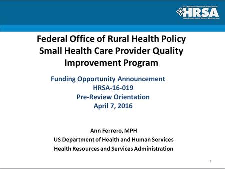 Federal Office of Rural Health Policy Small Health Care Provider Quality Improvement Program Ann Ferrero, MPH US Department of Health and Human Services.