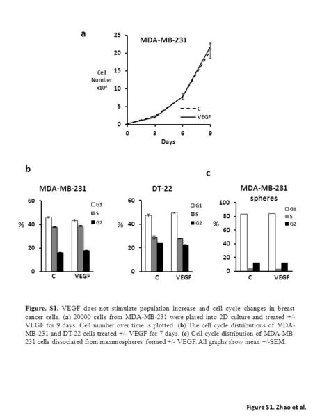 Figure S1. Zhao et al. a b c Figure. S1. VEGF does not stimulate population increase and cell cycle changes in breast cancer cells. (a) 20000 cells from.