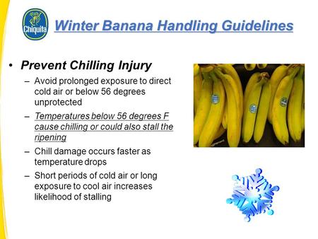 Prevent Chilling Injury –Avoid prolonged exposure to direct cold air or below 56 degrees unprotected –Temperatures below 56 degrees F cause chilling or.