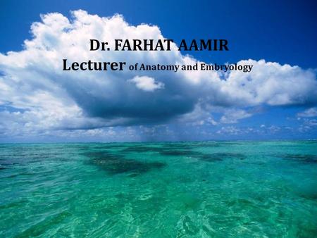 Dr. FARHAT AAMIR Lecturer of Anatomy and Embryology