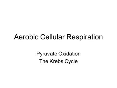 Aerobic Cellular Respiration