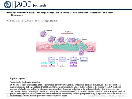 Date of download: 7/6/2016 Copyright © The American College of Cardiology. All rights reserved. From: Vascular Inflammation and Repair: Implications for.